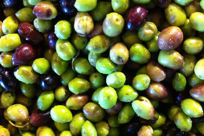 Semi Private Wine and Olive Oil tour (Transfer & Lunch Incl.) - Stop 3 in Archanes: A Village Lunch With Wine and Raki