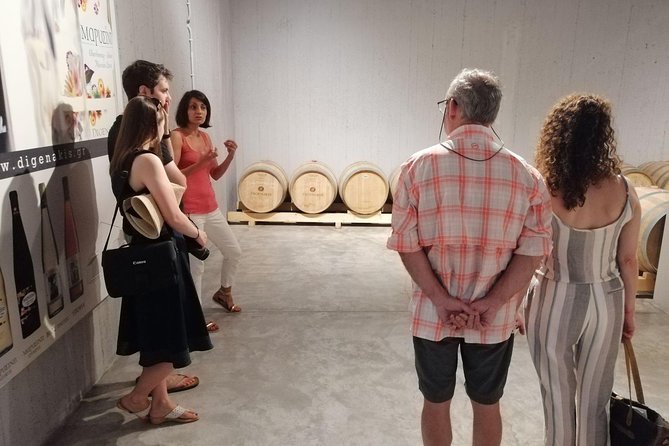 Semi Private Wine, Olive Oil, and Terroir Tour of Heraklion area with Tastings - The Peza vineyard drive: quick context before you taste