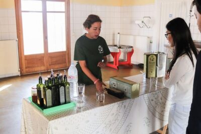 Semi Private Wine, Olive Oil, and Terroir Tour of Heraklion area with Tastings - Koronekes Olive Mill: learning how extra virgin oil becomes flavor in your glass