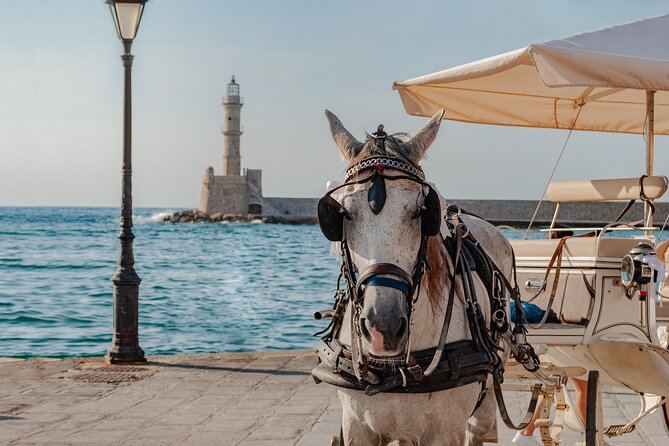 Shore Escape: Chania, Monastery & Olive Oil Tasting - Key highlights worth your time