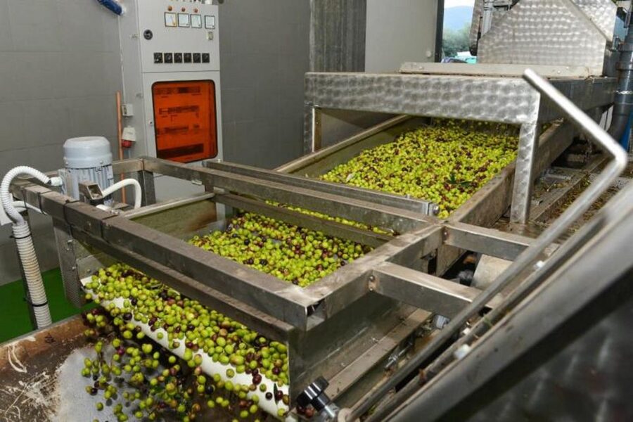 Short Tour of Olympia, an Olive Oil Press & St. Andrew Beach - Key Highlights You’ll Actually Care About