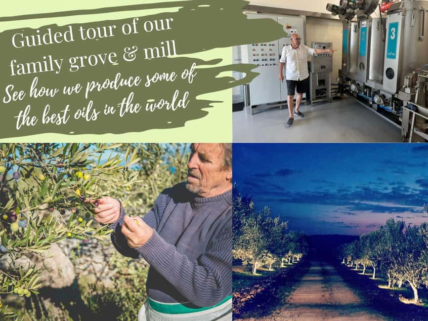 Šibenik: Croatia in a Day, Vistas, History, Olive Oil, Wine - Uljara Lepur: the olive grove and mill is the real reason to book