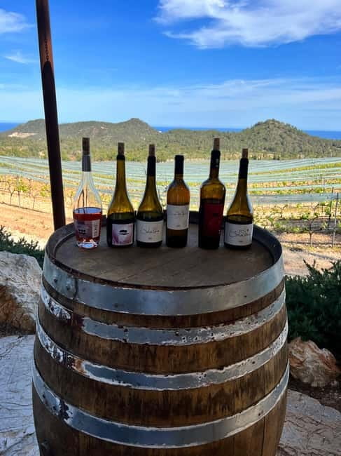 Small group- Exclusive Olive Oil & Wine Tour Mallorca - The Van Ride as a Taste Lesson