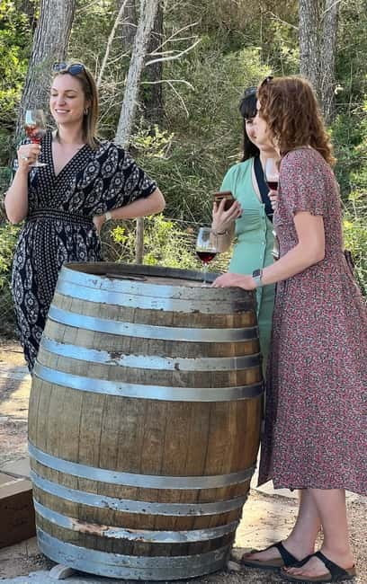 Small group- Exclusive Olive Oil & Wine Tour Mallorca - The Bodega Visit: Wine Tour, Local Tapas Pairing, and Relaxed Conversation