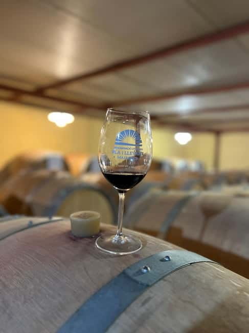Small group- Exclusive Olive Oil & Wine Tour Mallorca - Mallorca Wine History, Explained in Human Terms