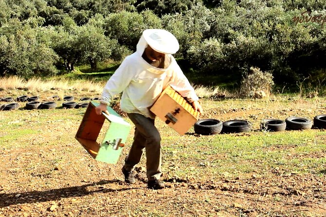 Small-Group Honey & Extra Virgin Olive Oil Tasting Tour in Crete - Key reasons to go