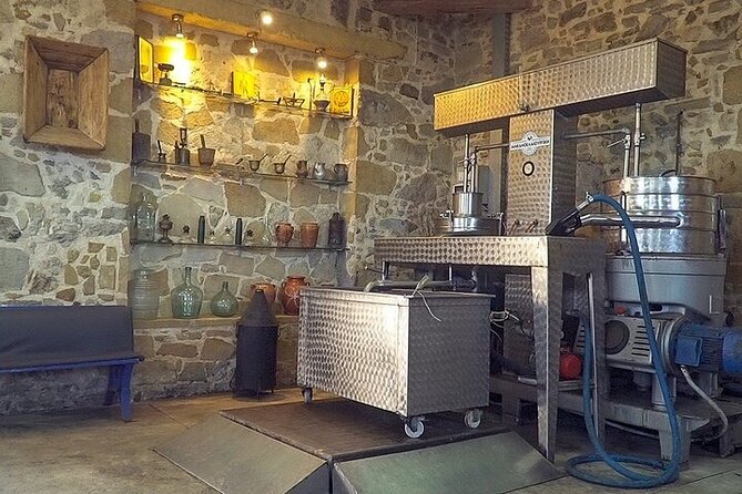Small-Group Honey & Extra Virgin Olive Oil Tasting Tour in Crete - Bees and beekeeping in Greece: making the honey tasting click
