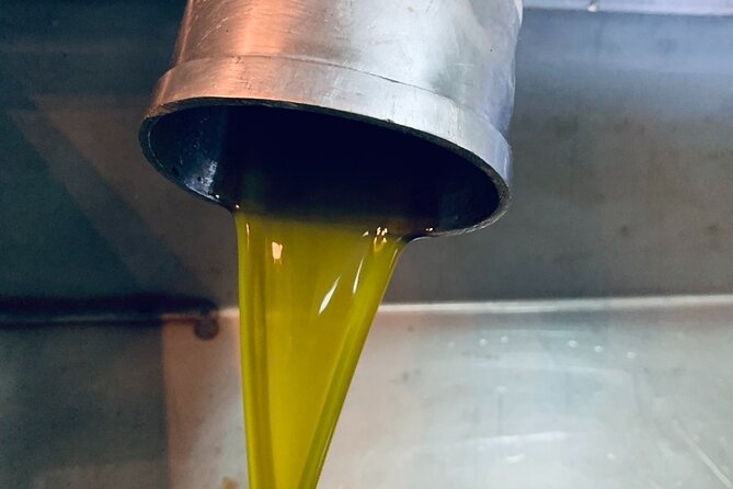 Small-Group Honey & Extra Virgin Olive Oil Tasting Tour in Crete - The 1920-to-now family story: why it’s more than a tasting