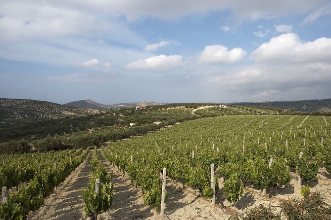 Small Group: Knossos, Olive Oil, Winery & Raki with Lunch - Knossos Palace: Minoan engineering you can still feel
