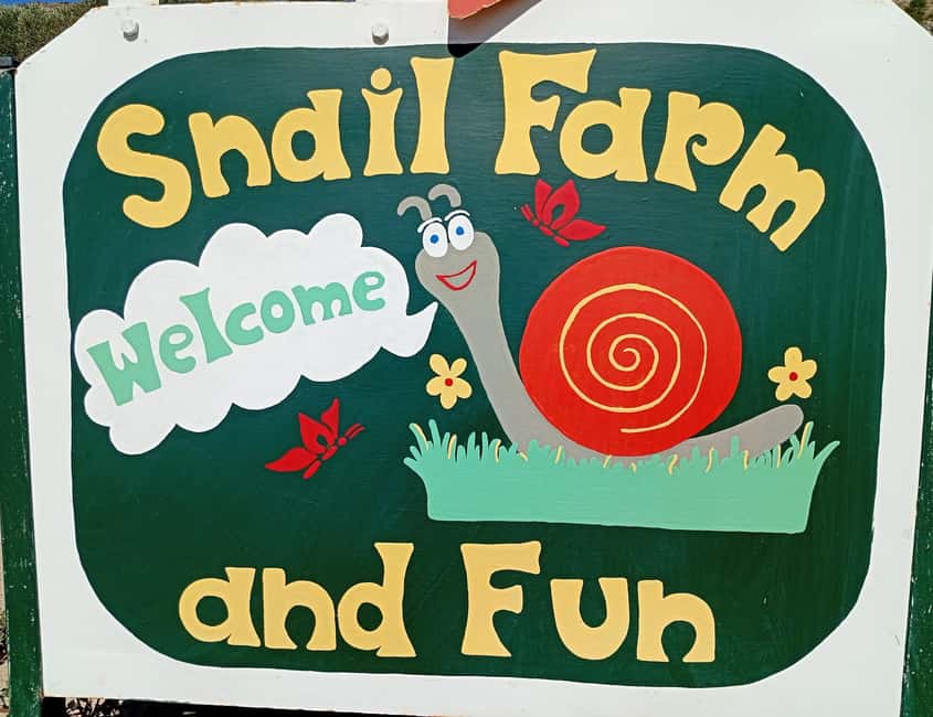 Snail and olive farm tour with table olives & homemade sweet - Key highlights that make this visit special