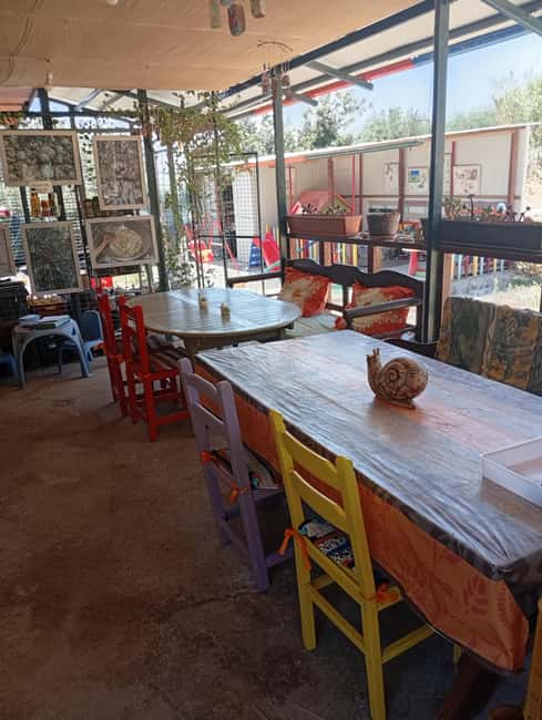 Snail and olive farm tour with table olives & homemade sweet - Snail Farm and Fun: why this feels different from a typical day trip