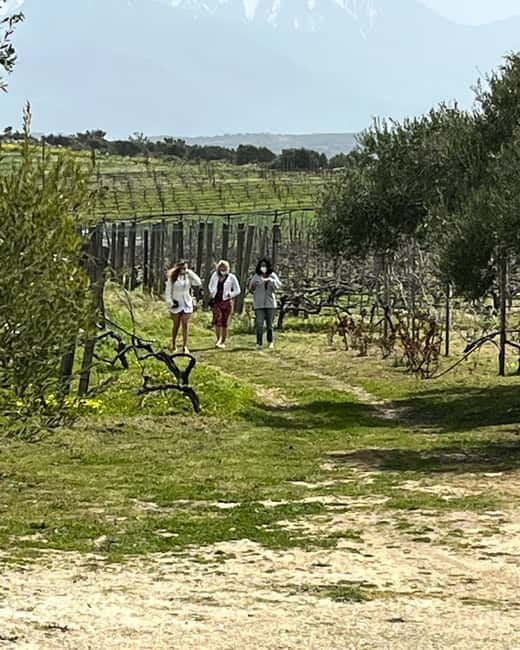 Soap Workshop, Olive Oil, Lyrarakis Winery and Lunch at Peza - Key Highlights You’ll Actually Care About