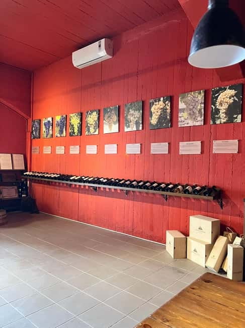 Soap Workshop, Olive Oil, Lyrarakis Winery and Lunch at Peza - Price and Logistics: Where the Value Comes From (and Where It Can Feel Tight)
