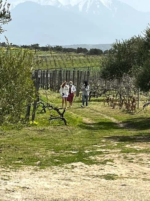 Soap Workshop, Olive Oil, Lyrarakis Winery and Lunch at Peza - What to Bring and How to Pace Yourself