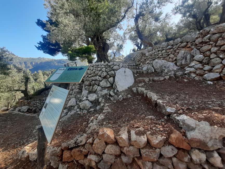 SOLLER: Olive Grove Experience, Oil Tasting & Picnic in the Tramuntana - From Black Barrier to Big Views: Getting to the Farm