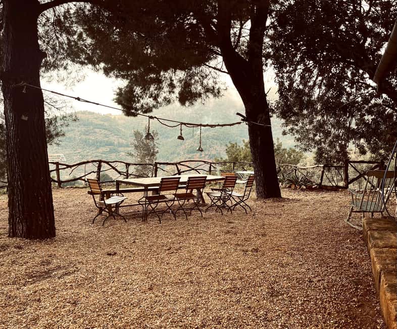SOLLER: Olive Grove Experience, Oil Tasting & Picnic in the Tramuntana - Price and Value: Is $29 Fair for Two Hours?