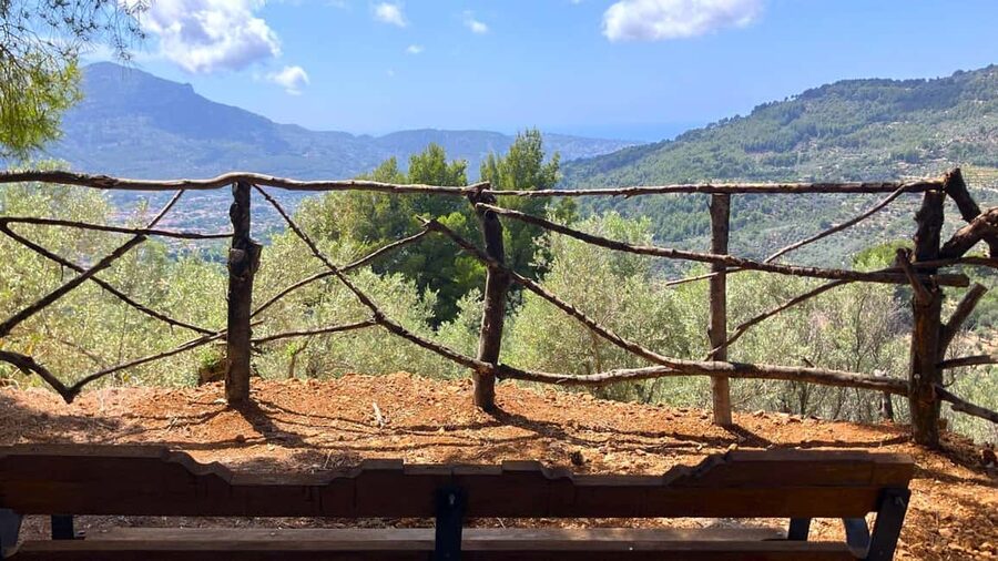 SOLLER: Olive Grove Experience, Oil Tasting & Picnic in the Tramuntana - Practical Tips That Make the Day Easier