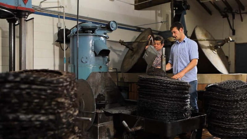 Sóller: Olive Oil Guided Tour and Tasting at Can Det Estate - The UNESCO Serra de Tramuntana story: why it matters for your taste buds