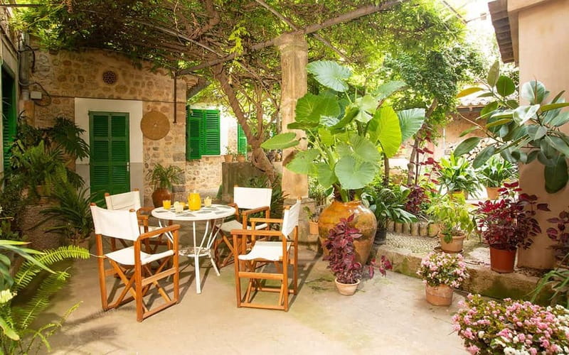 Sóller: Olive Oil Guided Tour and Tasting at Can Det Estate - Getting to the meeting point and timing your day in Sóller