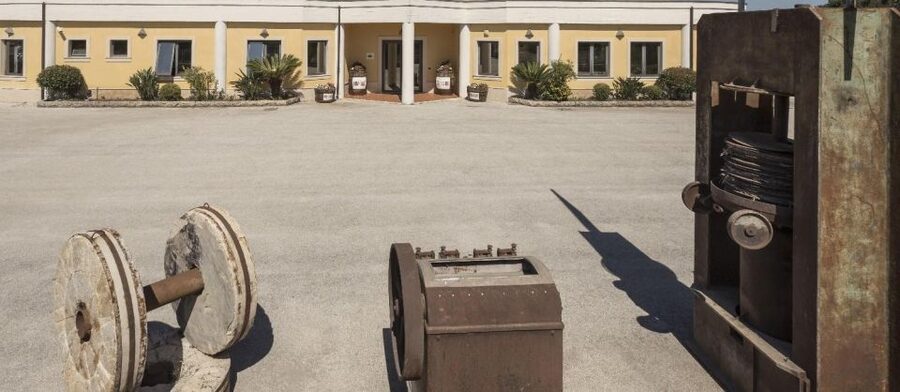 Sortino: Olive Oil tasting with Sicilian Products and Wine - Sortino Oil Mill: A Simple Setting That Explains Everything