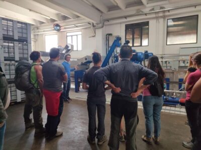 Sortino: Olive Oil tasting with Sicilian Products and Wine - VR Sessions: The Harvest Story When Nature Is Off-Schedule