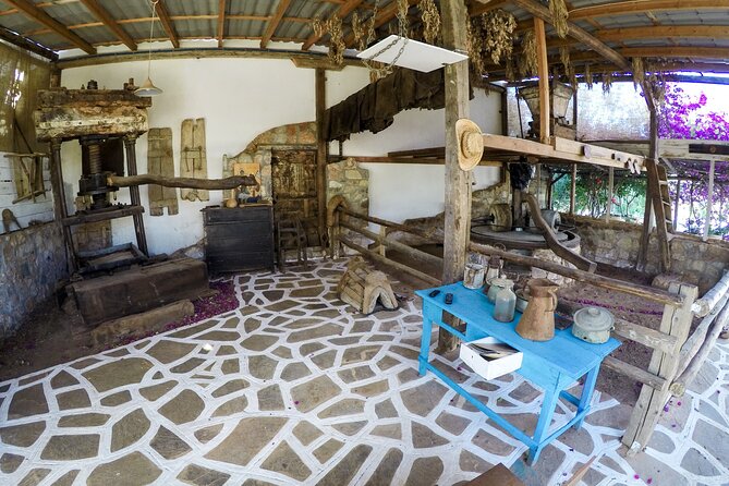 Spiridi Olive Oil Farm Tour - Getting value for your money: price, what’s included, and who it fits