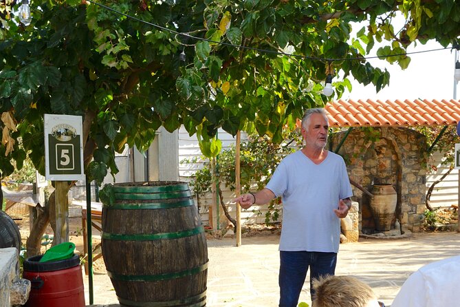 Spiridi Olive Oil Farm Tour - Your 1-hour plan: how the self-guided route works
