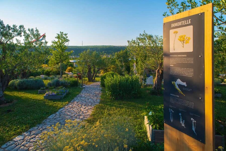 Split: Olive museum Klis with Olive Oil Tasting - Botanical Collection With 500 Species: Learning What Plants Can Do