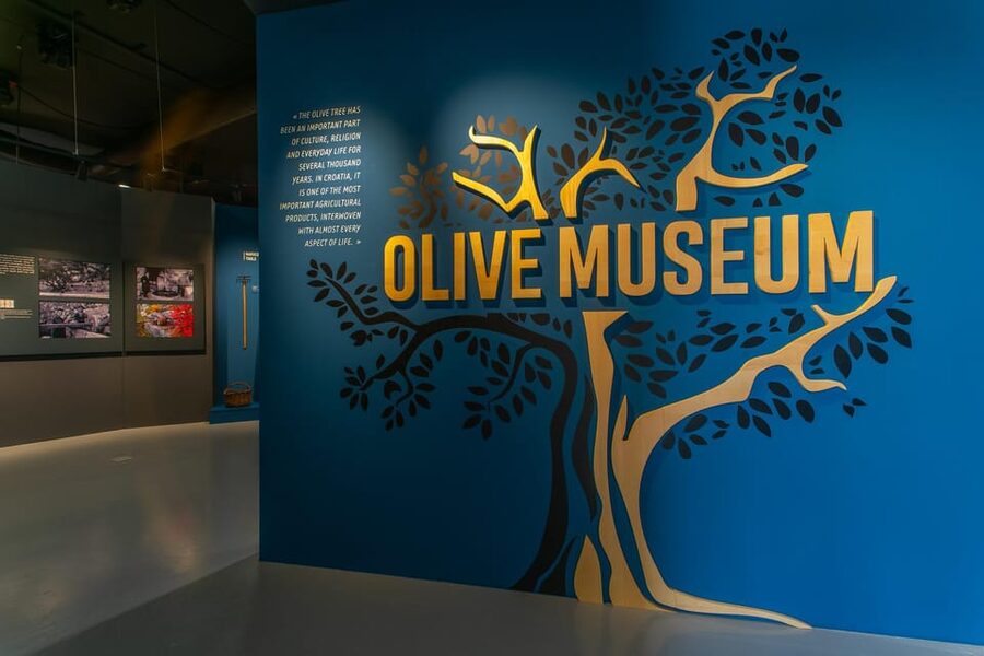 Split: Olive museum Klis with Olive Oil Tasting - Interactive Olive Oil Tasting: How You Learn to Judge Extra Virgin