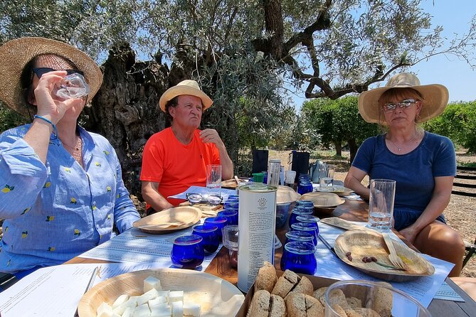 SYSTASIS Olive Oil Tasting Experience in Ermioni Greece - Key Highlights You’ll Care About
