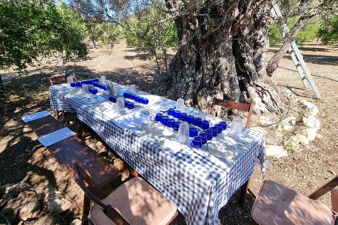 SYSTASIS Olive Oil Tasting Experience in Ermioni Greece - Who Should Book This Olive Oil Tasting (and Who Might Skip)