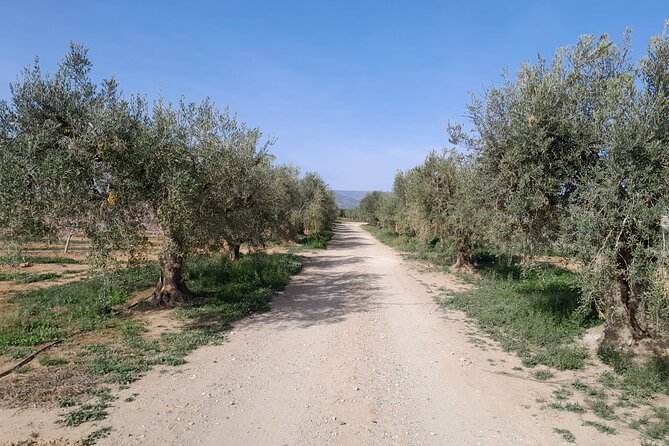 Tarragona Culinary Experience: Olive Oil & Iberian Ham Delight - How the Guide Changes the Whole Day: Ivan’s Style and Smart Plan Changes