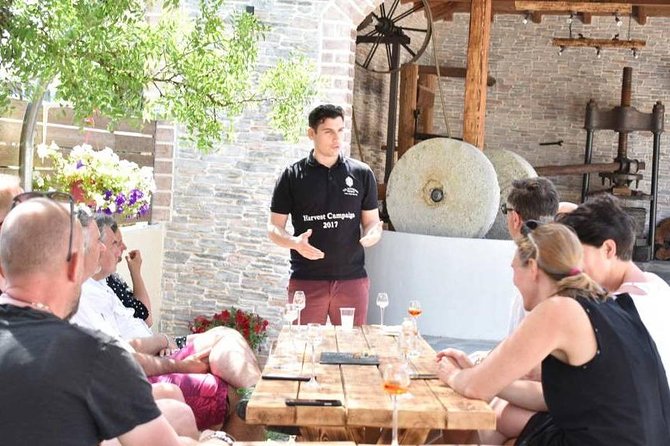 The Governor's Olive Mill Tour with Olive Oil Tasting - Key Highlights You’ll Care About