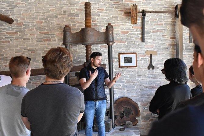 The Governor's Olive Mill Tour with Olive Oil Tasting - Morning Pickup and the Half-Day Timing You Can Plan Around