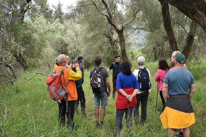 The Governor's Olive Mill Tour with Olive Oil Tasting - The Fort and the Extra Stops That Make the Drive Worth It
