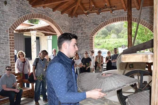 The Governor's Olive Mill Tour with Olive Oil Tasting - What’s Included (and What to Budget for): Oils, Wine, and Souvenirs