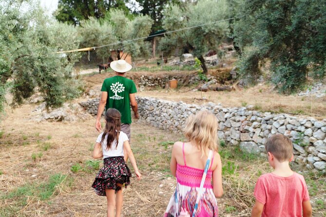 The Olive Oil Experience @ Lefkada Micro Farm - The tasting itself: varieties, garden bites, and the peppery polyphenol kick