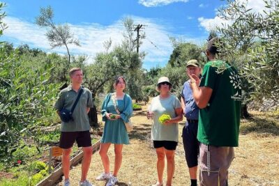 The Olive Oil Experience @ Lefkada Micro Farm - White Lefkadian Trees and Regenerative Organic Farming