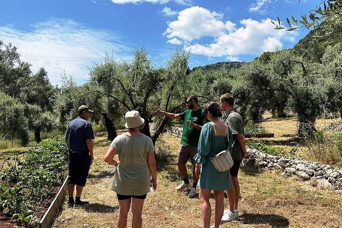 The Olive Oil Experience @ Lefkada Micro Farm - The Olive Oil ABC: what you can actually do at home