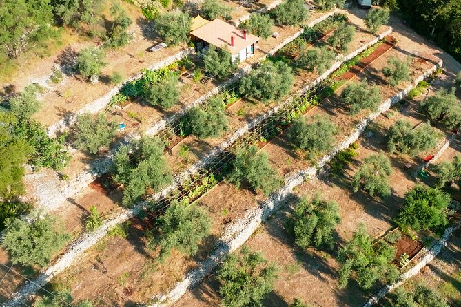 The Olive Oil Experience @ Lefkada Micro Farm - Awards and farm story: why they bring up New York Silver Awards