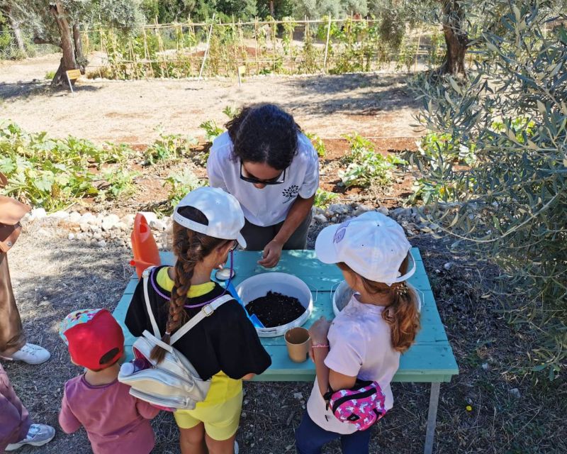 The Olive Oil Experience @ Lefkada Micro Farm - Who This Tour Suits Best (and Who Might Want Something Else)