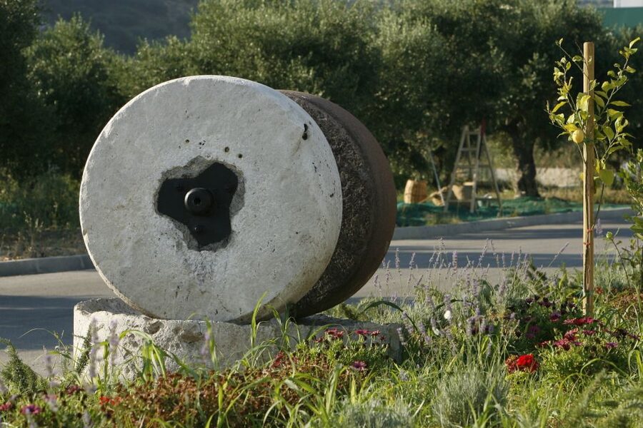 The Terra Creta Olive Oil Experience Tour - Terra Creta in Kolymvari: what you actually get for $11