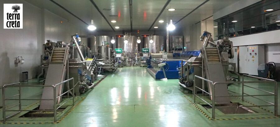 The Terra Creta Olive Oil Experience Tour - Value: why this feels like a smart food stop