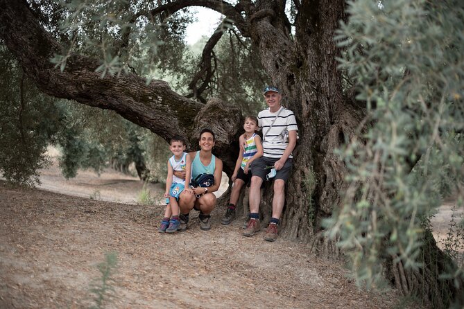 Tour of Olive Grove and Oil Mills with Oil Tasting - Who should book this tour, and who might skip it