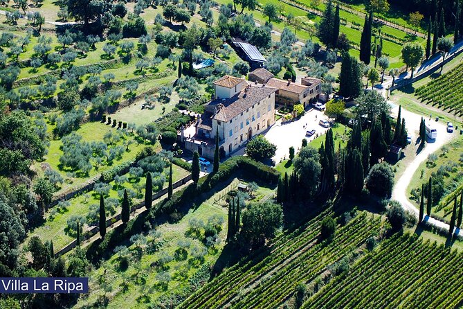 Tour through the vineyards and wine and olive oil tasting in Tuscany - Key Things To Know Before You Go