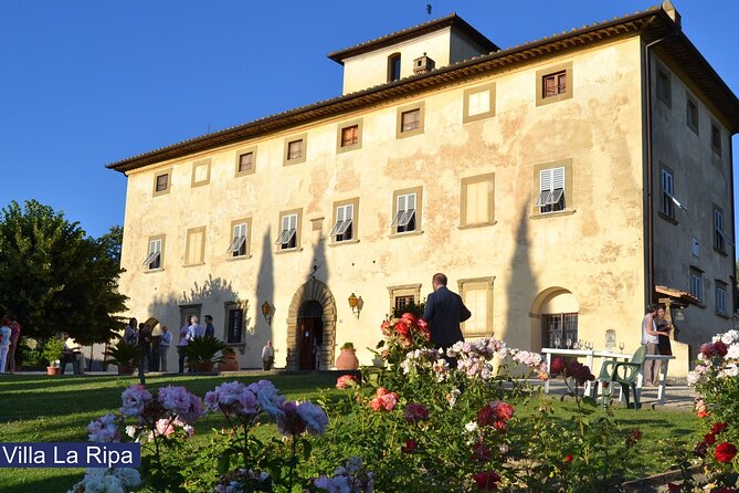 Tour through the vineyards and wine and olive oil tasting in Tuscany - The Four-Wine All Tuscany Tasting: More Than Just One Sip