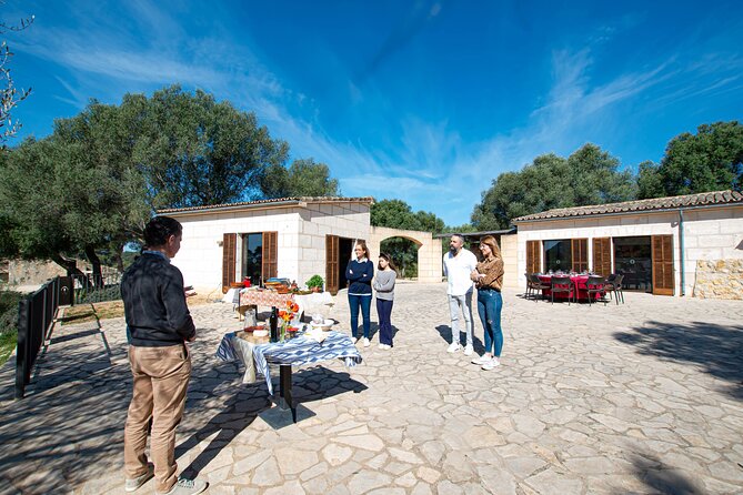 Tour to olive grove and olive mill, oil tasting and snack - The Majorcan food portion: “snack” that turns into lunch energy
