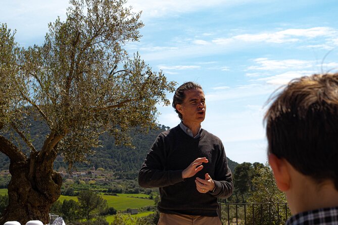 Tour to olive grove and olive mill, oil tasting and snack - Price and value: what about $59.64 buys you