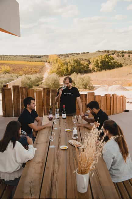 Tour with Wine and Olive Oil Tasting - Mainova’s Natural Wine + Olive Oil Taste Like One Story