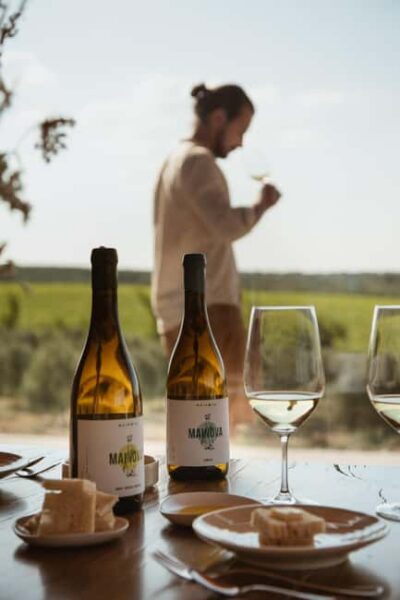 Tour with Wine and Olive Oil Tasting - Where You’ll Be: Évora District, Easy Distance from Big Names